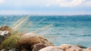 A part of rocky beach