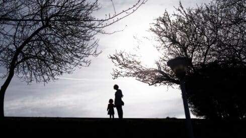 The shadows of an adult and a child walking hand in hand under paperless trees and a street lamp.