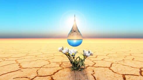 Large water droplet above daisies on cracked ground under blue sky and sun.