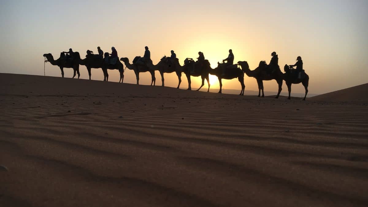 صورة مقال مشروع الهجرة النبوية الشريفة