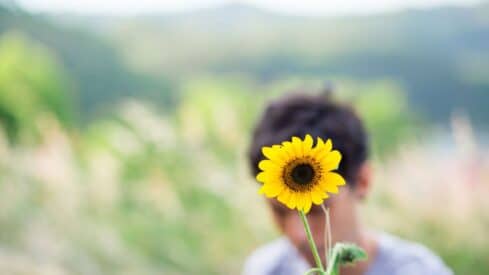 Yellow sunflower in focus, blurred figure and natural background behind.